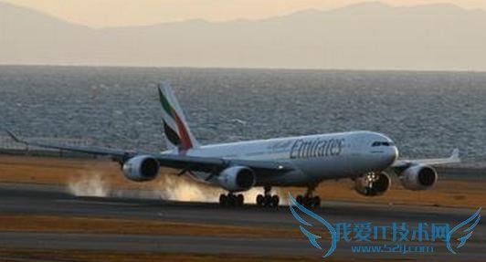 2 千多只绵羊放屁触发烟雾警报逼停飞机 只因太紧张