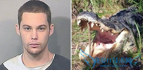 男子被鳄鱼咬死