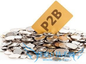 P2P 概念透支 P2B 或成新风口取而代之