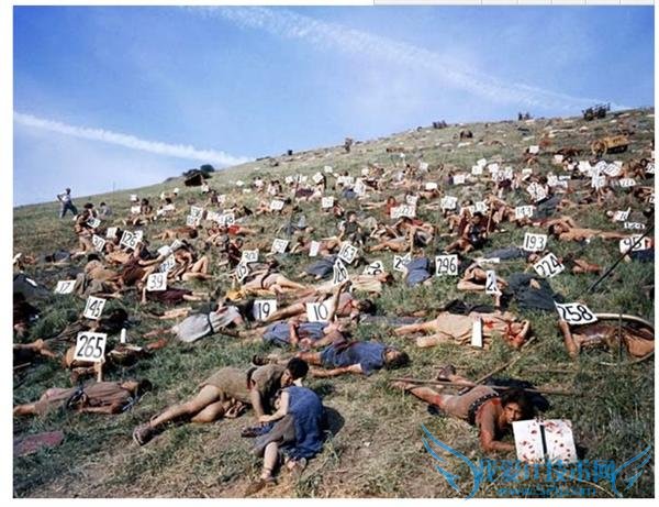 魅族 630 海报说了全金属机身 也在控诉友商让魅族杀人如狂