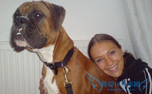 Ԯý屨ѧһӢѹʰȮƤ֯ƳֻѧҲѣƵĹĹ̺ܶ࣬ŴּķҲߡ