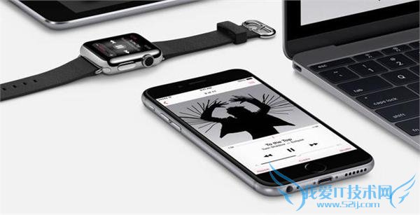 苹果 iPhone 第二季度销量再创新高 中国消费者功劳最大