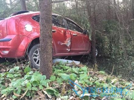 ֦ͷ“զ" ⳵̵ЦƶƤ