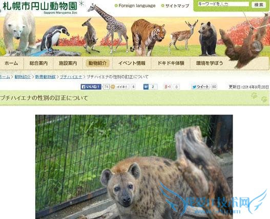 动物园逼迫两只雄性土狼交配 1 年:搞基都是被逼出来的