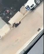 һӷ 5 ξʧ ֱܻɴ󿨳