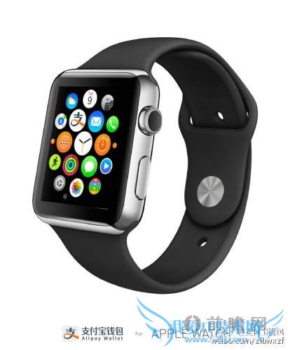 ֧ƻֱ wp ûŭ֧ ΢ŷַӽ