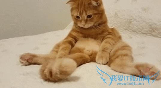 èβƵߺ 30 Ƶ 200 ˹ۿ 5 ˵