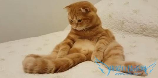 èβƵߺ 30 Ƶ 200 ˹ۿ 5 ˵