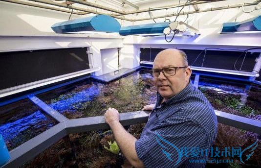 Ӣӻװ׹Ӿ ÿ¾Ҫ 2 ǧ