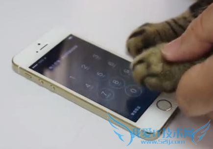 上市前 3 天,iPhone 6 及 iPhone 6 Plus 的销售成绩喜人,出货量突破 1000 万部。3 天卖出 1000 万部,也就意味着每小时有 138888 部六代苹果手机卖出,每分钟有 2314 部手机被卖出。