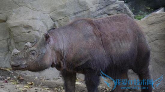  ΣϬţ“” ӡ“Լ”