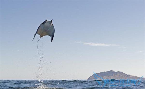 ܣܰ“ħ” ѧҳΥѧ