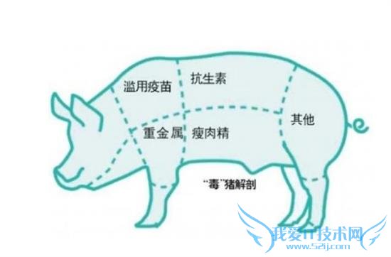 ҩû!ʳĿֲѧҩƷ  һ磬ͼͨ“ʡ”ʵĿ꣬ⲻ֪бԾĹʳƷϣ“࣬ٶȿ죬ɱʡ”ֲˣ׷󼫶˹ıȻ֣һƷԻٽĿڸʢտֲֳѡõǮΪһ“ЦƶЦ潣ЦƶЦթ”ʱ  һʱһֻС 45 ɳɳĳɼСô죬Լ㲻ΪʲôҲһҲ𰸡  һʱѼһУż㶯ҲвߣһЩȾ˷ǵͷסµǣѾȾϣǵͷף2003 ʱȫ 8,000 Ⱦ800 ĲҾ硣ݡǵͷ׵УƵҩɵĲҩԱ죬ΪЩ½в˲⡣  һʱѼţȱӲ“ҩ”߲ˮˮƷҲһѭ“ҩû”ҵǱ9  10 պ 11 գý屨ܱߺֳι“”ţƣйͶùءŵɳǡװάͪҺνⶾĸϸڶǵȶҩͨ“ҩ”ķʽʵֺεĿ⣬յ졢ȸʯЩɫʸеƣҲͬ“ҩû”ֳҵ  һʱй˵Ĳϣ˹⵰δ“޹”ٶйĻѧҩƷʱʳЩʳͬɱԣڿλͲ۾ʮ־ʢһ𿴴ЩʳĿֲѧҩƷ  Ҫ ͣ  ˵أСգƸϸȾ²΢ȾҩǿأȻϸظʹͬһֿأϸҲγӦԣΪҩԡ  ֳҵ˵ֳǵܷڿأ뿴ĸƢθ뷢֣  ҹÿԼ 20 ֿأһ룬һ;  йֳҵĿ 9.7 ֣50%ֳӿ;  һֻ⼦һٳ 18 ֿ;   100%пأҩ 1 ι 2 Ρ  Ҫ볤ÿ ȫ  ˽ΪǵҡǮιʳһҩٴ۾ˣ“MAGIC”——ҩ֮ڣڼι 35 Ժʳãιʳ֮ЧۿۣͼӰһֻÿ 2 ϣιʳ 3-5 ü 1 ңһλι 10 С  ҩ﾿ʲô?ʵǼصһֽ֣ɣƤʼҩڴʹÿӡֵ֢״ȻֳҵĿǰõļҩﲻǵɣޡ˶ͰȡЩƧֿڵĻѧƣЩֻСѧĻֳ˵ʵǸ⡣  “ûĻ”ũֳȻƵʹüؽϵĻϣǶԼص˽̶ȴʳǸߡǣֳΪʹתʸߣظι“⾫” (ء˶Ͱ༤)   ߲˴쿴 ȴܷθ  ǰᵽĵɺ⾫Ｄأô߲ˮʹõϩɱΪֲＤصķ롣  ЩϩҩȳΪеǵĹ㷺ӦʹǼ˸ʡӵв߲֮˺ˮʹ˴֮߹“ѾӨ͸ϵķڣȻȴ;ͮͮӲ;ƹ̴̣ͨ“”ֱϻһСƻ……”֮ǿθ  ⣬ͬһû߼磬˽ٻͷ׷һԭڿƼٷչĽ죬ٲҩֶҲ仯ˡල߹ԱĹ׼ûѭ䷨“ʱලبŲ”Ǽܹǳ䵱“º”Ľɫ  ʳгֵЩֲѧҩƷʢֻʳǺһɤӣǣܲܳ?ලߣܲõ?