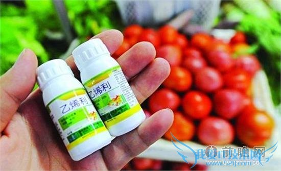 ҩû!ʳĿֲѧҩƷ  һ磬ͼͨ“ʡ”ʵĿ꣬ⲻ֪бԾĹʳƷϣ“࣬ٶȿ죬ɱʡ”ֲˣ׷󼫶˹ıȻ֣һƷԻٽĿڸʢտֲֳѡõǮΪһ“ЦƶЦ潣ЦƶЦթ”ʱ  һʱһֻС 45 ɳɳĳɼСô죬Լ㲻ΪʲôҲһҲ𰸡  һʱѼһУż㶯ҲвߣһЩȾ˷ǵͷסµǣѾȾϣǵͷף2003 ʱȫ 8,000 Ⱦ800 ĲҾ硣ݡǵͷ׵УƵҩɵĲҩԱ죬ΪЩ½в˲⡣  һʱѼţȱӲ“ҩ”߲ˮˮƷҲһѭ“ҩû”ҵǱ9  10 պ 11 գý屨ܱߺֳι“”ţƣйͶùءŵɳǡװάͪҺνⶾĸϸڶǵȶҩͨ“ҩ”ķʽʵֺεĿ⣬յ졢ȸʯЩɫʸеƣҲͬ“ҩû”ֳҵ  һʱй˵Ĳϣ˹⵰δ“޹”ٶйĻѧҩƷʱʳЩʳͬɱԣڿλͲ۾ʮ־ʢһ𿴴ЩʳĿֲѧҩƷ  Ҫ ͣ  ˵أСգƸϸȾ²΢ȾҩǿأȻϸظʹͬһֿأϸҲγӦԣΪҩԡ  ֳҵ˵ֳǵܷڿأ뿴ĸƢθ뷢֣  ҹÿԼ 20 ֿأһ룬һ;  йֳҵĿ 9.7 ֣50%ֳӿ;  һֻ⼦һٳ 18 ֿ;   100%пأҩ 1 ι 2 Ρ  Ҫ볤ÿ ȫ  ˽ΪǵҡǮιʳһҩٴ۾ˣ“MAGIC”——ҩ֮ڣڼι 35 Ժʳãιʳ֮ЧۿۣͼӰһֻÿ 2 ϣιʳ 3-5 ü 1 ңһλι 10 С  ҩ﾿ʲô?ʵǼصһֽ֣ɣƤʼҩڴʹÿӡֵ֢״ȻֳҵĿǰõļҩﲻǵɣޡ˶ͰȡЩƧֿڵĻѧƣЩֻСѧĻֳ˵ʵǸ⡣  “ûĻ”ũֳȻƵʹüؽϵĻϣǶԼص˽̶ȴʳǸߡǣֳΪʹתʸߣظι“⾫” (ء˶Ͱ༤)   ߲˴쿴 ȴܷθ  ǰᵽĵɺ⾫Ｄأô߲ˮʹõϩɱΪֲＤصķ롣  ЩϩҩȳΪеǵĹ㷺ӦʹǼ˸ʡӵв߲֮˺ˮʹ˴֮߹“ѾӨ͸ϵķڣȻȴ;ͮͮӲ;ƹ̴̣ͨ“”ֱϻһСƻ……”֮ǿθ  ⣬ͬһû߼磬˽ٻͷ׷һԭڿƼٷչĽ죬ٲҩֶҲ仯ˡල߹ԱĹ׼ûѭ䷨“ʱලبŲ”Ǽܹǳ䵱“º”Ľɫ  ʳгֵЩֲѧҩƷʢֻʳǺһɤӣǣܲܳ?ලߣܲõ?