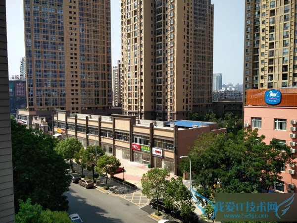 ͬ۸£һֻ2ҫ7ֻĸã