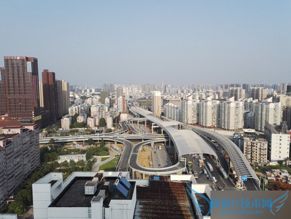 ͬ۸£һֻ2ҫ7ֻĸã