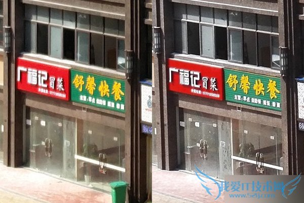 ͬ۸£һֻ2ҫ7ֻĸã