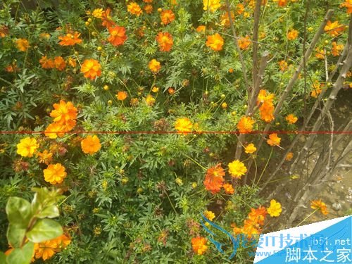 文艺范nubia My布拉格值得购买吗?