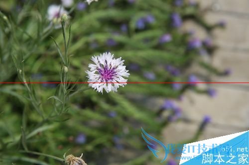 文艺范nubia My布拉格值得购买吗?