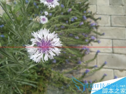 文艺范nubia My布拉格值得购买吗?