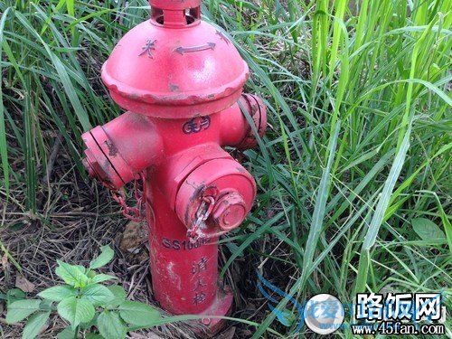 S4 PK iPhone 5 S4 PK iPhone 5