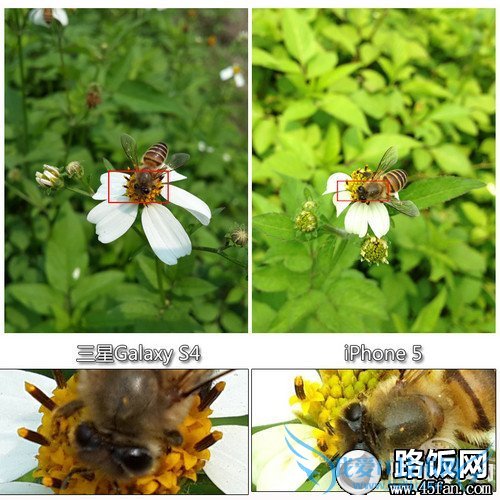 S4 PK iPhone 5 S4 PK iPhone 5