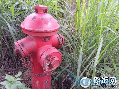 S4 PK iPhone 5 S4 PK iPhone 5