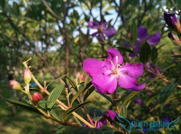 ֻҫ7iԼMX5ȣĸֻܸӵĺã