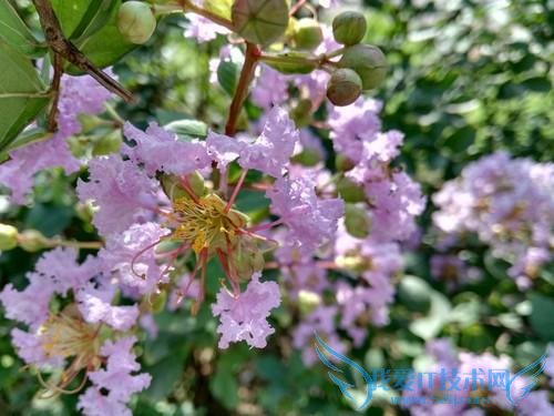 华为荣耀7i手机性能的全面评测