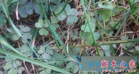 三星GALAXY On7手机性能如何?