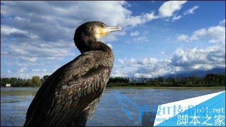 小米4c拍照像素的评测