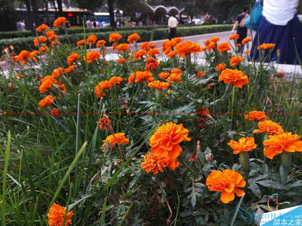 使用华为荣耀7i如何拍出好照片?