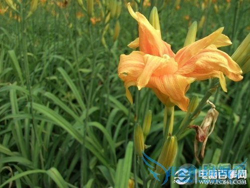 英特尔双核+平民价 中兴Geek V975评测