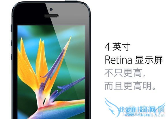 iPhone5ʵͼƬȫƻiPhone5ʵͼƬȫ