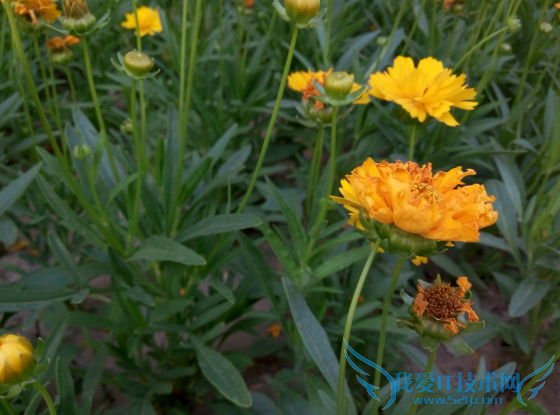 魅蓝Note2好不好用?