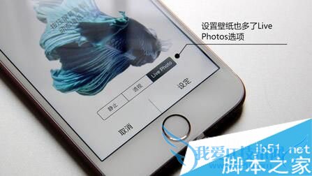怎么样制作iphone6s/Plus动态锁屏壁纸?