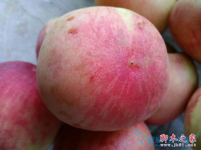 4G全网通TCL么么哒3S手机性能比高吗?