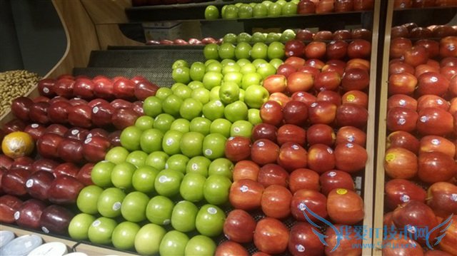 蓝魔MOS1 Max的全面性检测