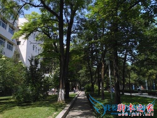 飞利浦杰智手机在续航方面的详细介绍