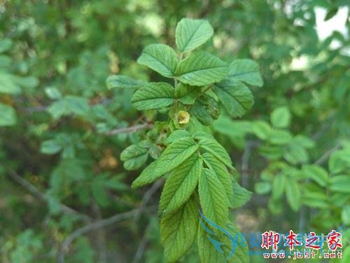 飞利浦杰智手机在续航方面的详细介绍