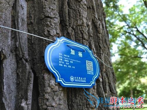 飞利浦杰智手机在续航方面的详细介绍