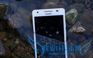 有哪些手机被丢掷鱼缸中还能够存活?