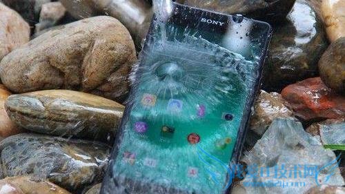 有哪些手机被丢掷鱼缸中还能够存活?