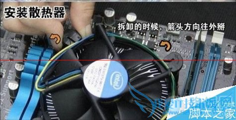 怎么给cpu安装散热器?
