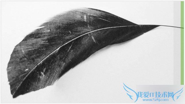 corelDRRAW X7的新特性有哪些?