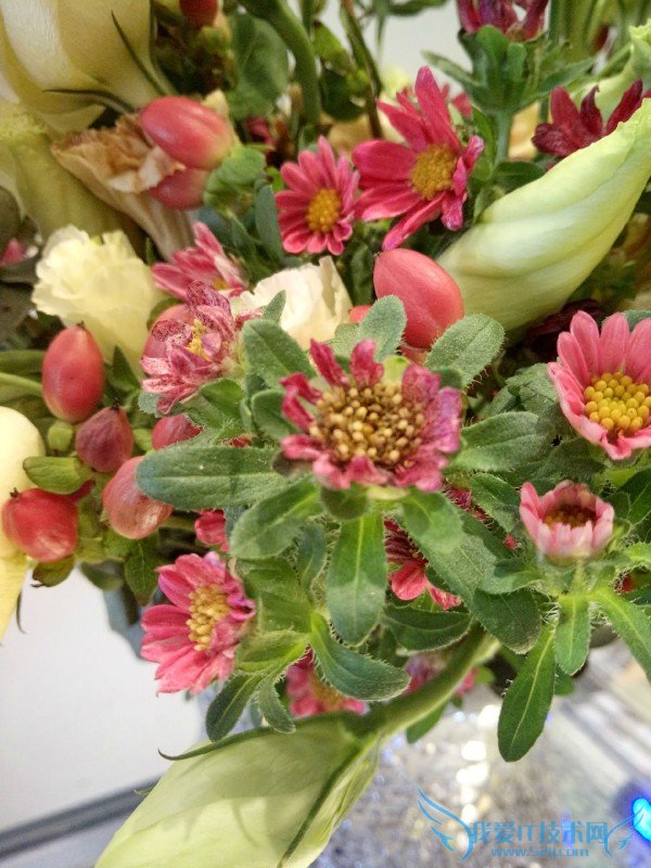 R系列双子星OPPO R7/R7 Plus性能如何?