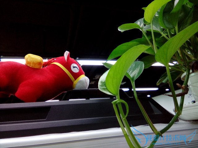 低价的TCL乐玩手机配置性能怎么样?