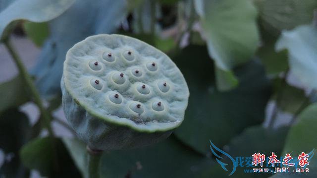 号称“性能怪兽”的华硕ZenFone 2手机怎么样?