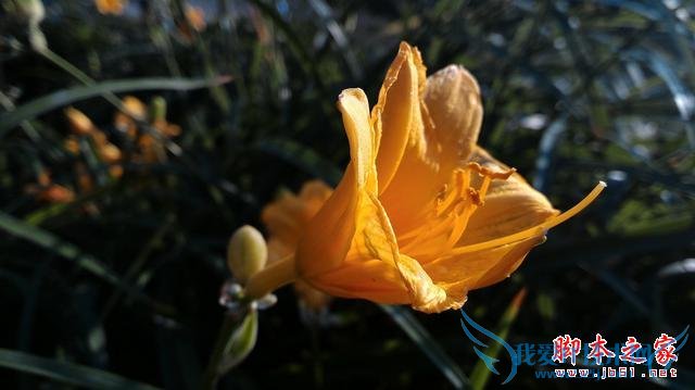 号称“性能怪兽”的华硕ZenFone 2手机怎么样?