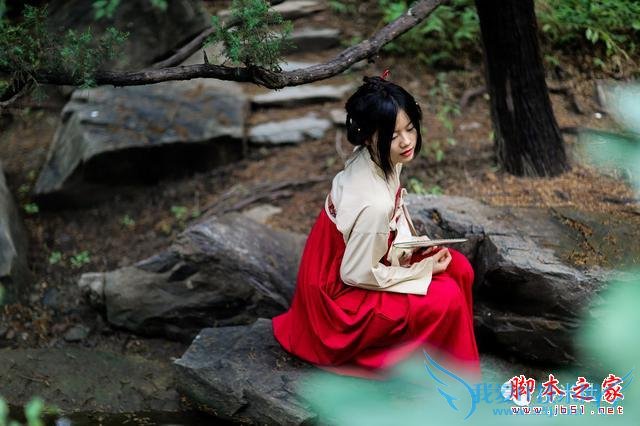 终端手机小米的全面介绍及定义